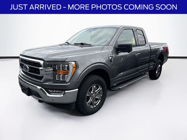 2023 Ford F-150 XLT photo 3