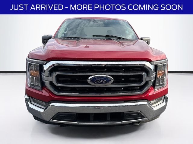 2022 Ford F-150 XLT photo 2
