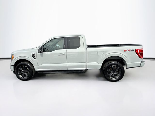 2023 Ford F-150 XLT photo 4