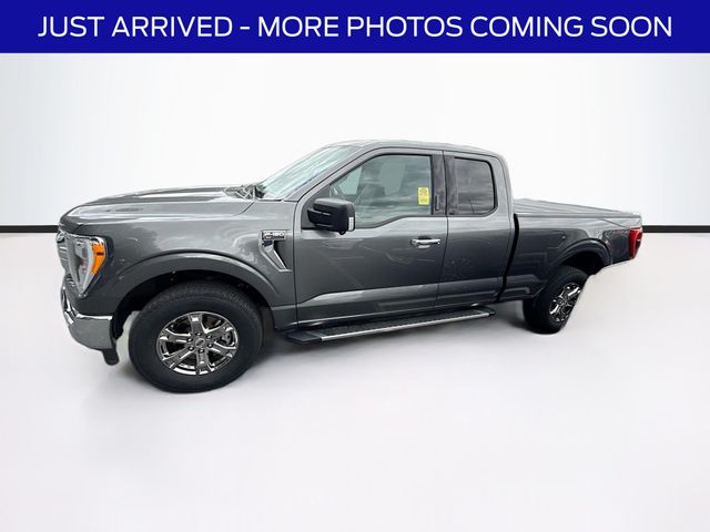 2023 Ford F-150 XLT photo 4