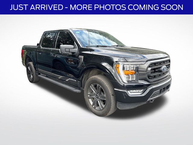 2023 Ford F-150 XLT 4x4 SuperCrew 5-1/2 Box's photo