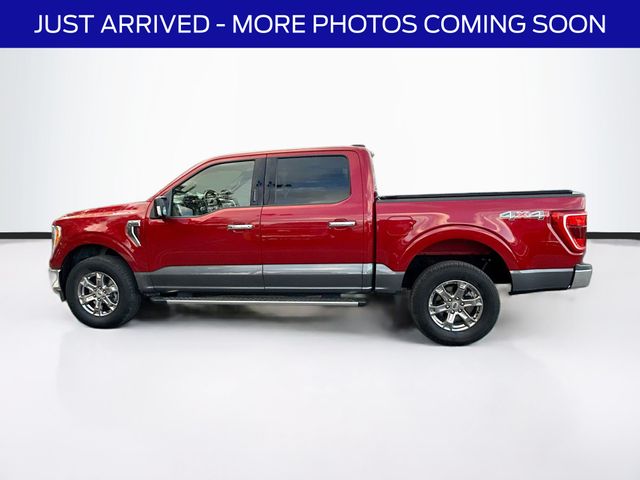 2022 Ford F-150 XLT photo 4