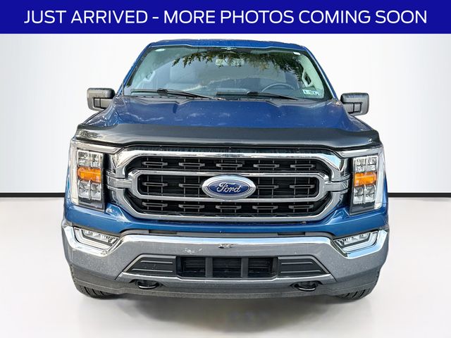 2023 Ford F-150 XLT photo 2