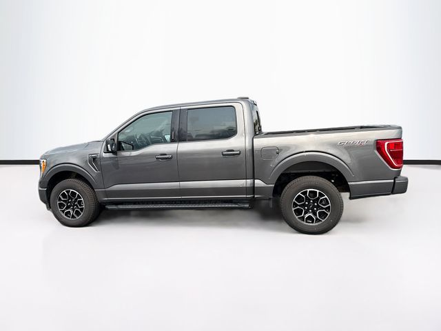 2022 Ford F-150 XLT photo 4