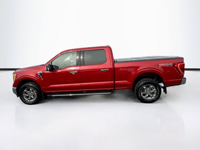 2021 Ford F-150 XLT photo 4