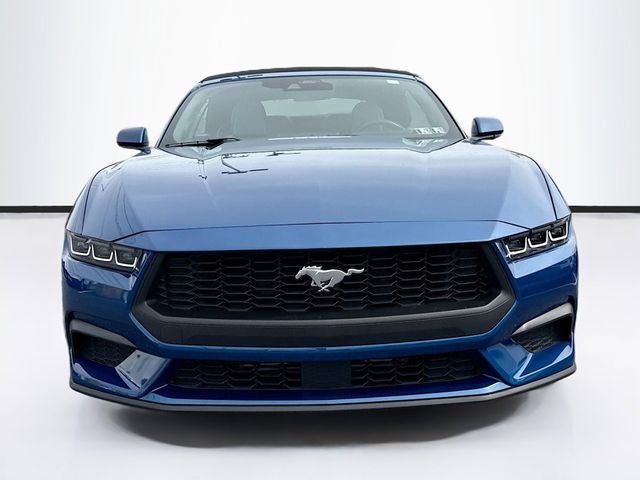 2024 Ford Mustang EcoBoost Convertible photo 2