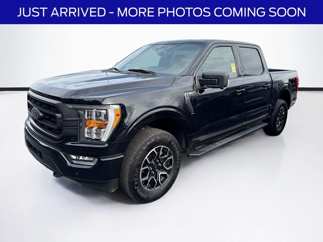 2023 Ford F-150 XLT photo 3