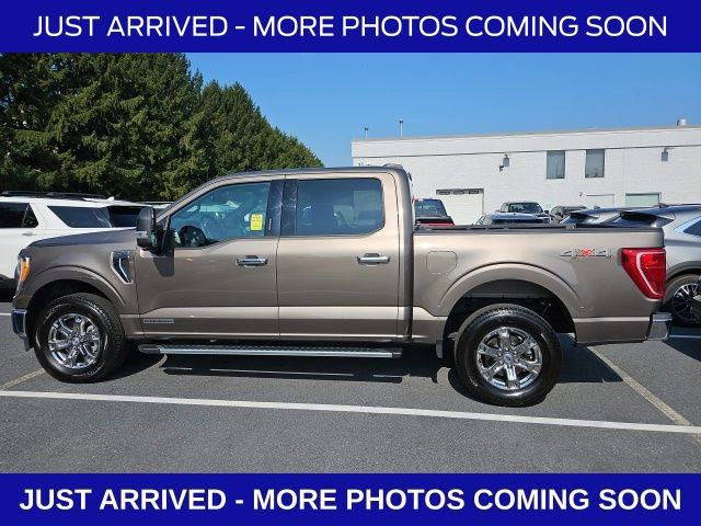 2023 Ford F-150 XLT photo 4