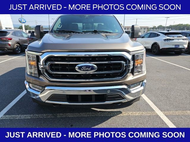 2023 Ford F-150 XLT photo 2