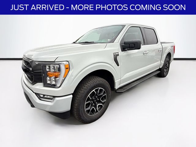 2023 Ford F-150 XLT photo 3