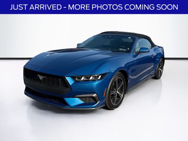 2024 Ford Mustang EcoBoost Convertible photo 3
