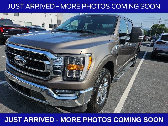 2023 Ford F-150 XLT photo 3