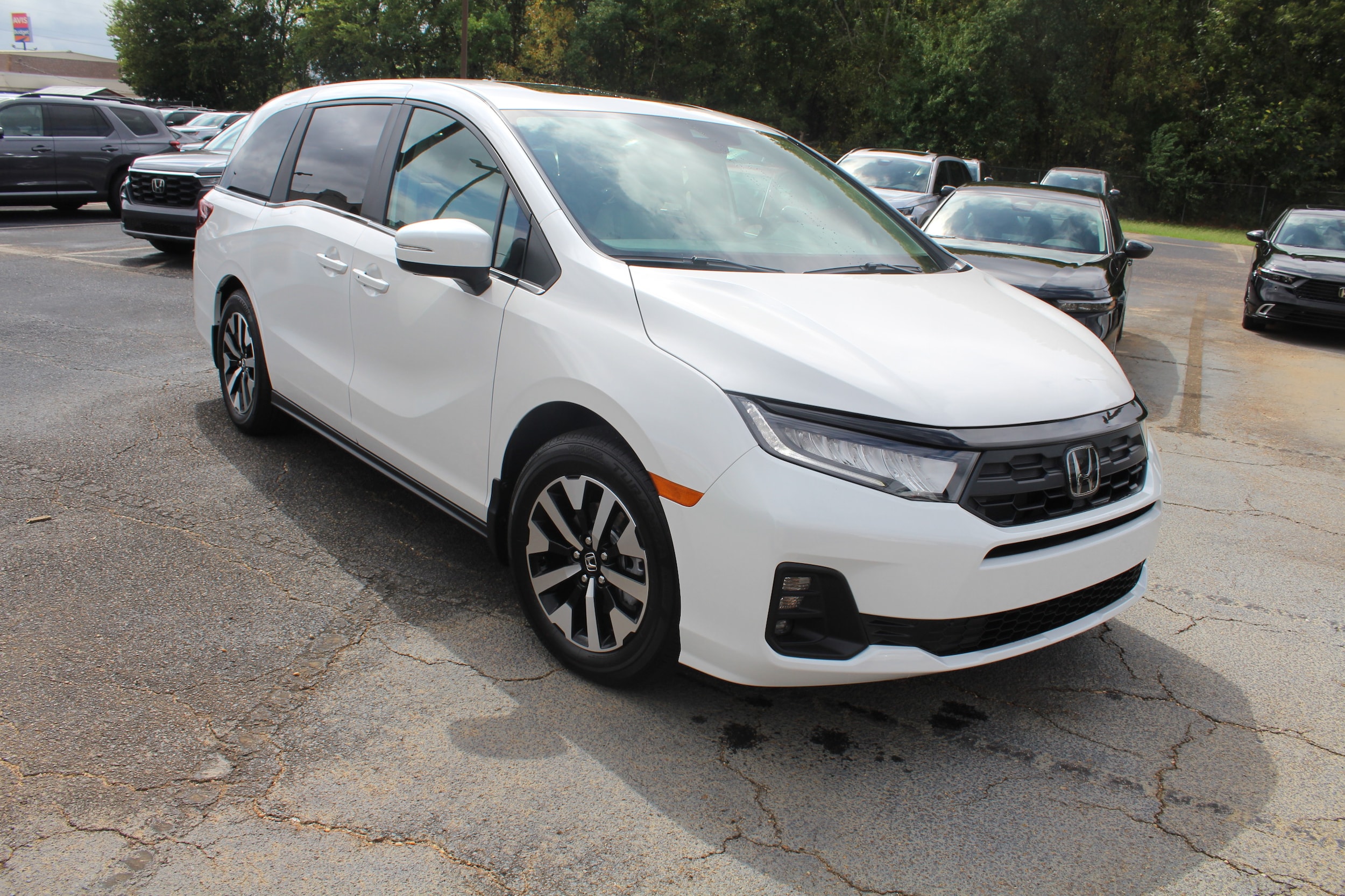 2026 Honda Odyssey EX-L's photo