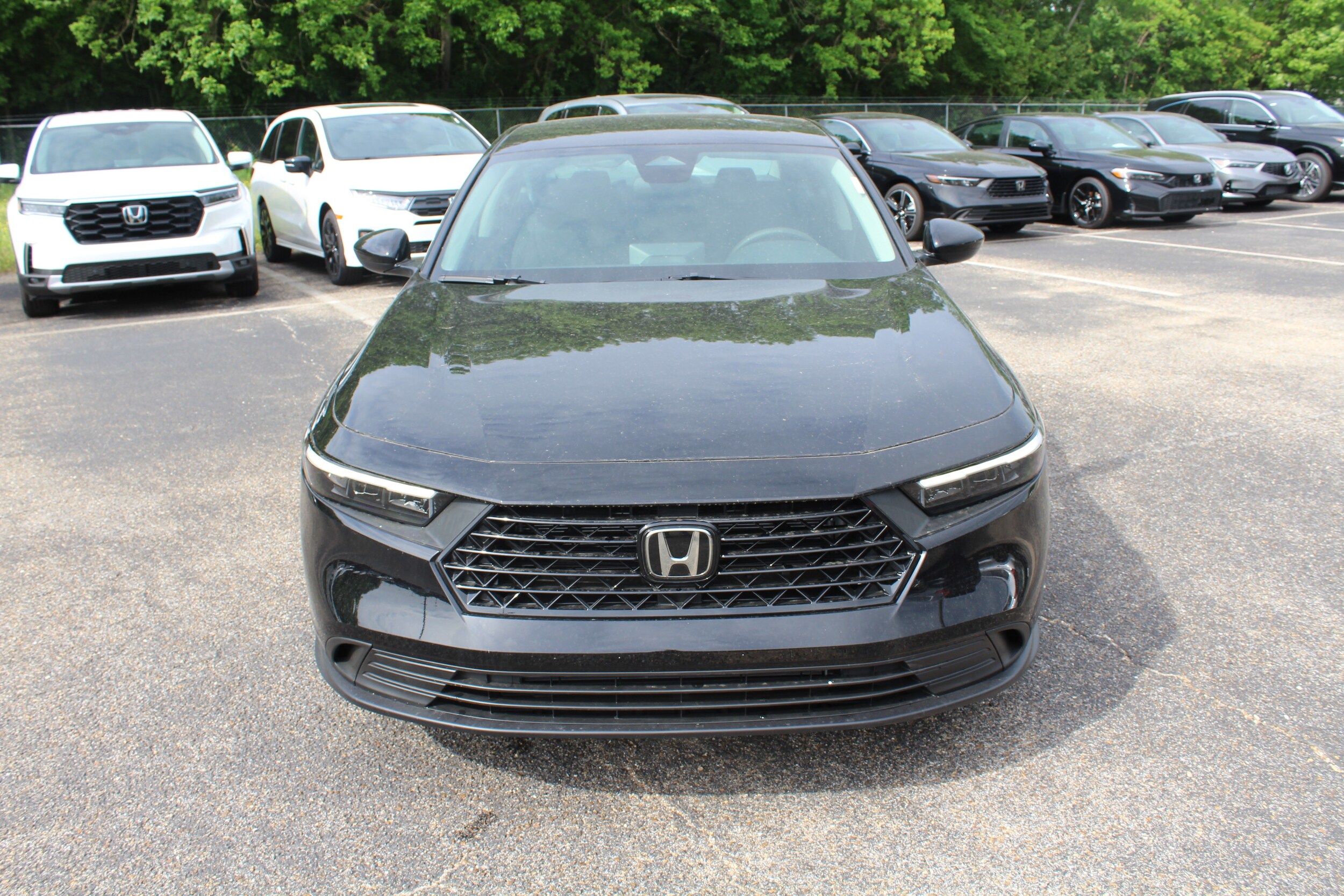 2025 Honda Accord SE photo 2