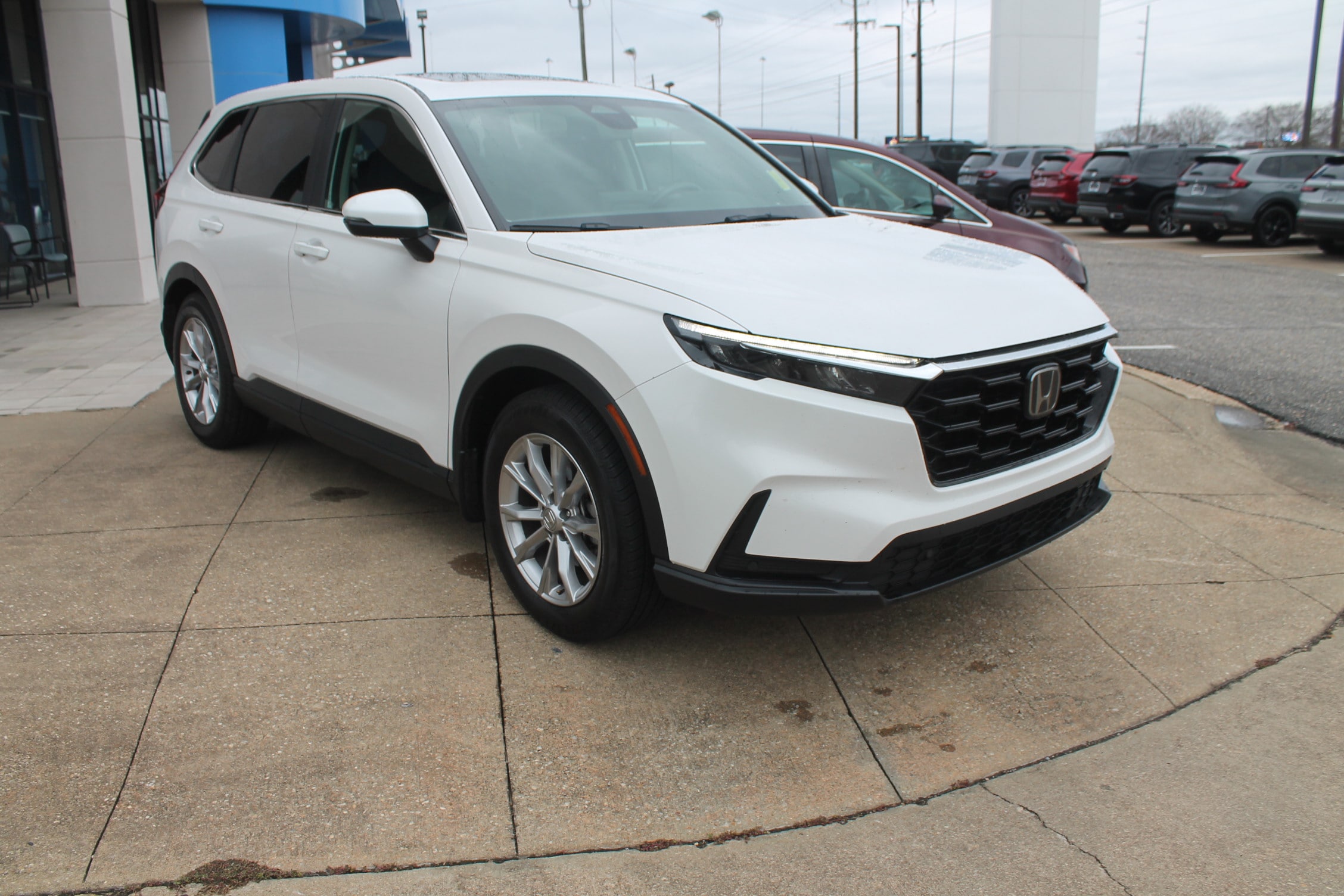 2023 Honda CR-V EX-L's photo