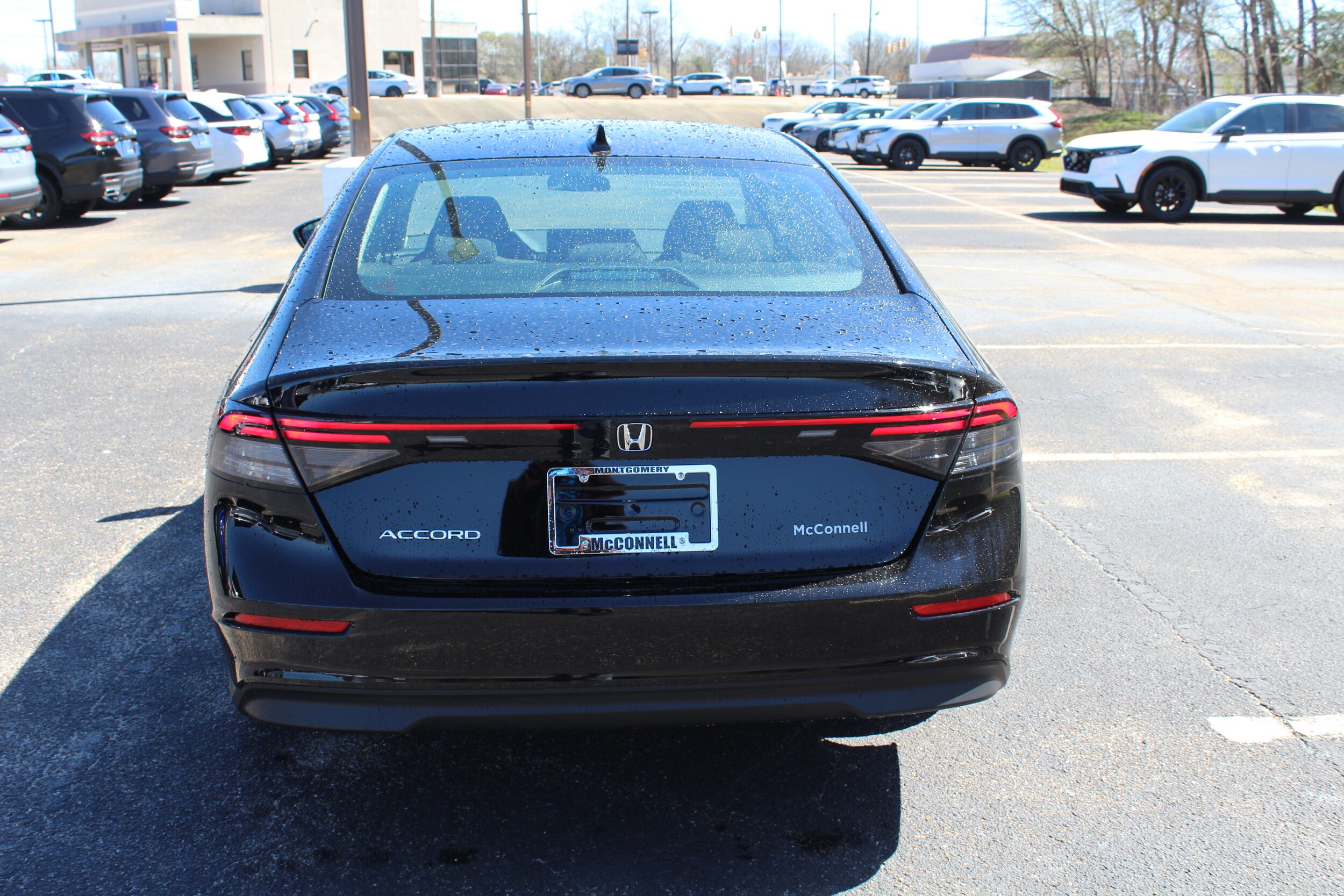 2025 Honda Accord SE photo 3