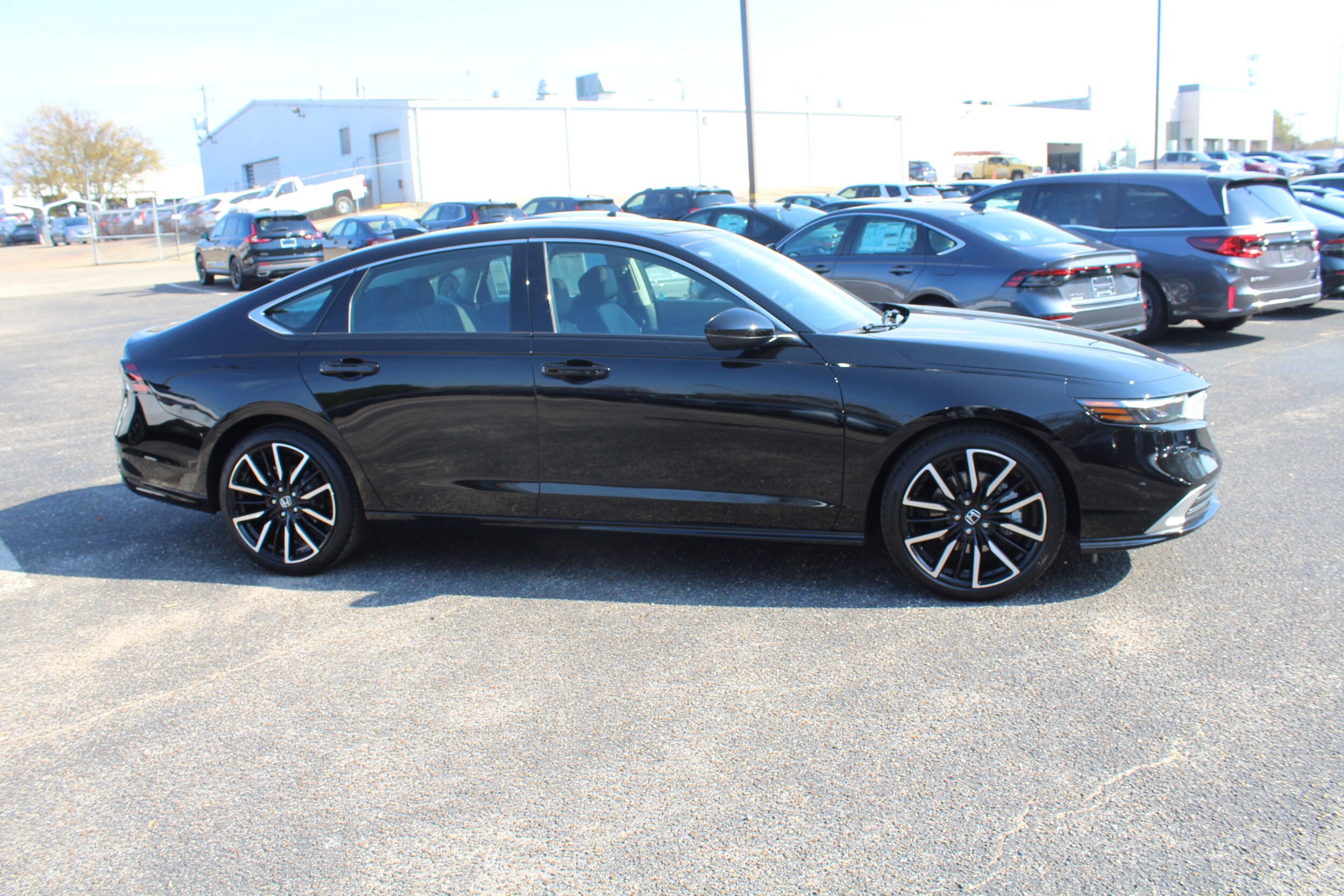 2025 Honda Accord Hybrid Touring photo 3