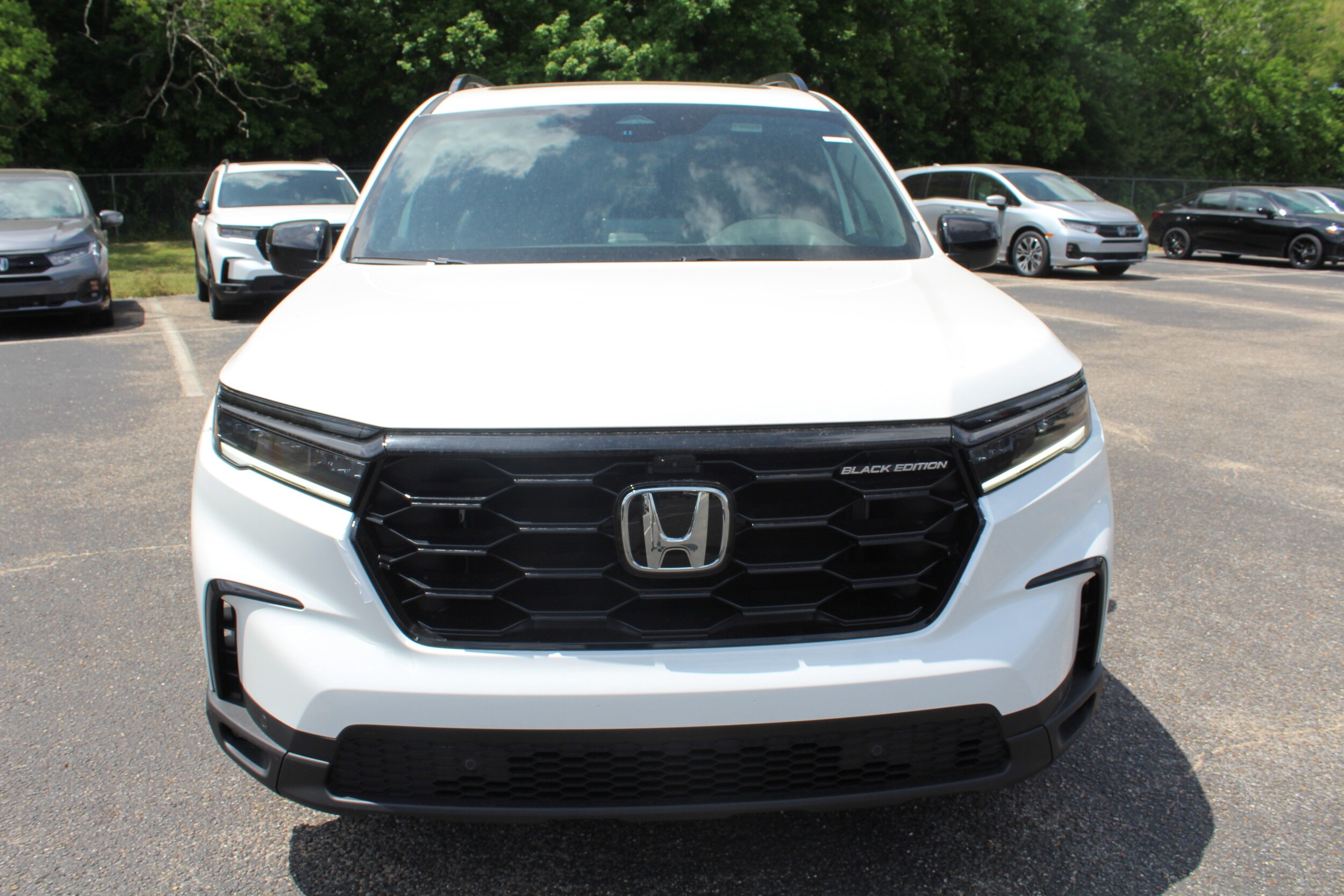 2025 Honda Pilot Black Edition photo 2