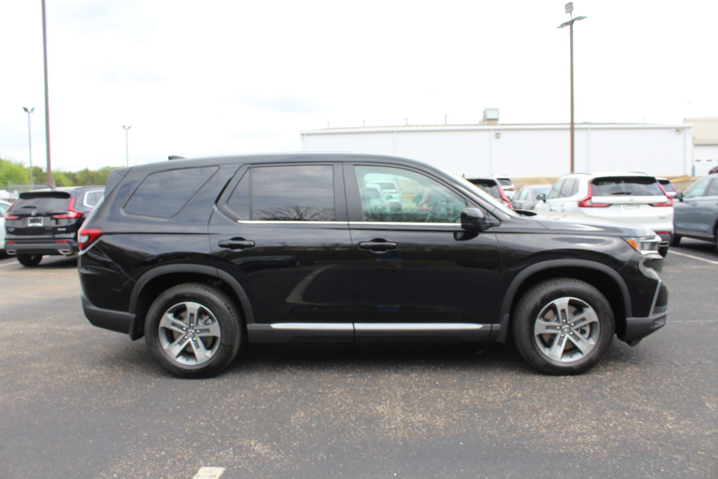 2025 Honda Pilot EX-L photo 3