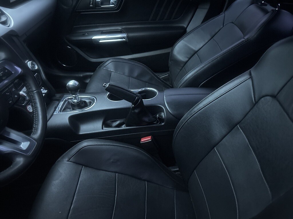 2015 Ford Mustang EcoBoost Premium photo 2