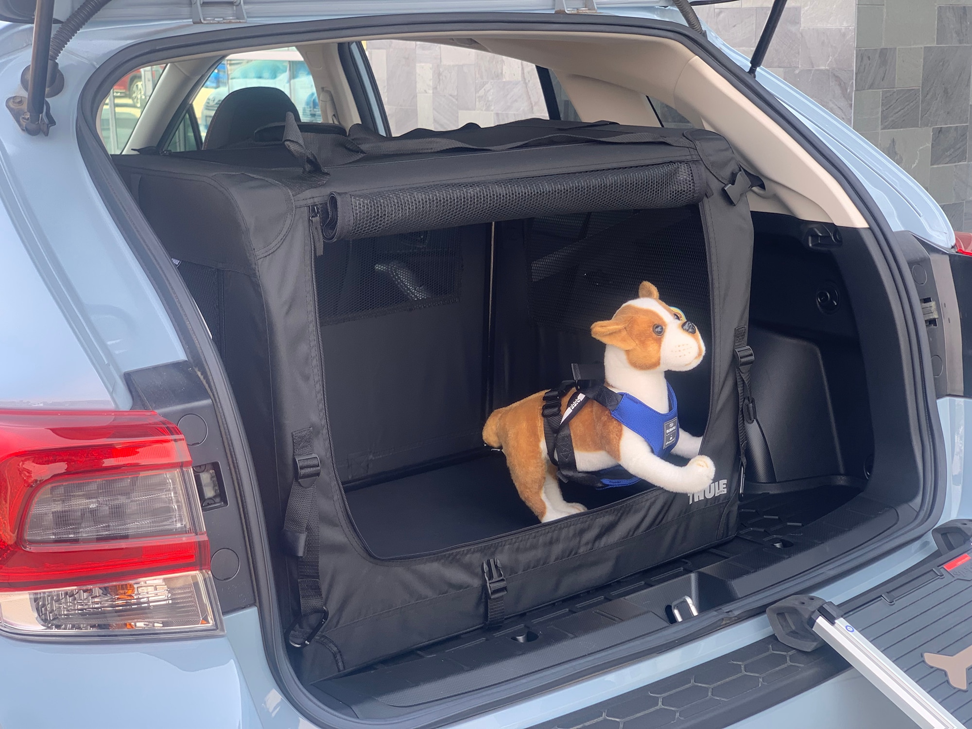Subaru sale pet accessories