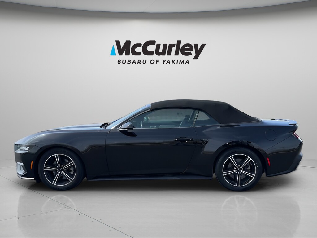 Used 2024 Ford Mustang Ecoboost Premium Convertible Convertible