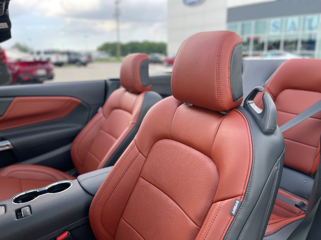 2025 Ford Mustang GT Premium Convertible - Photo 16