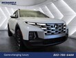  Hyundai Santa Cruz