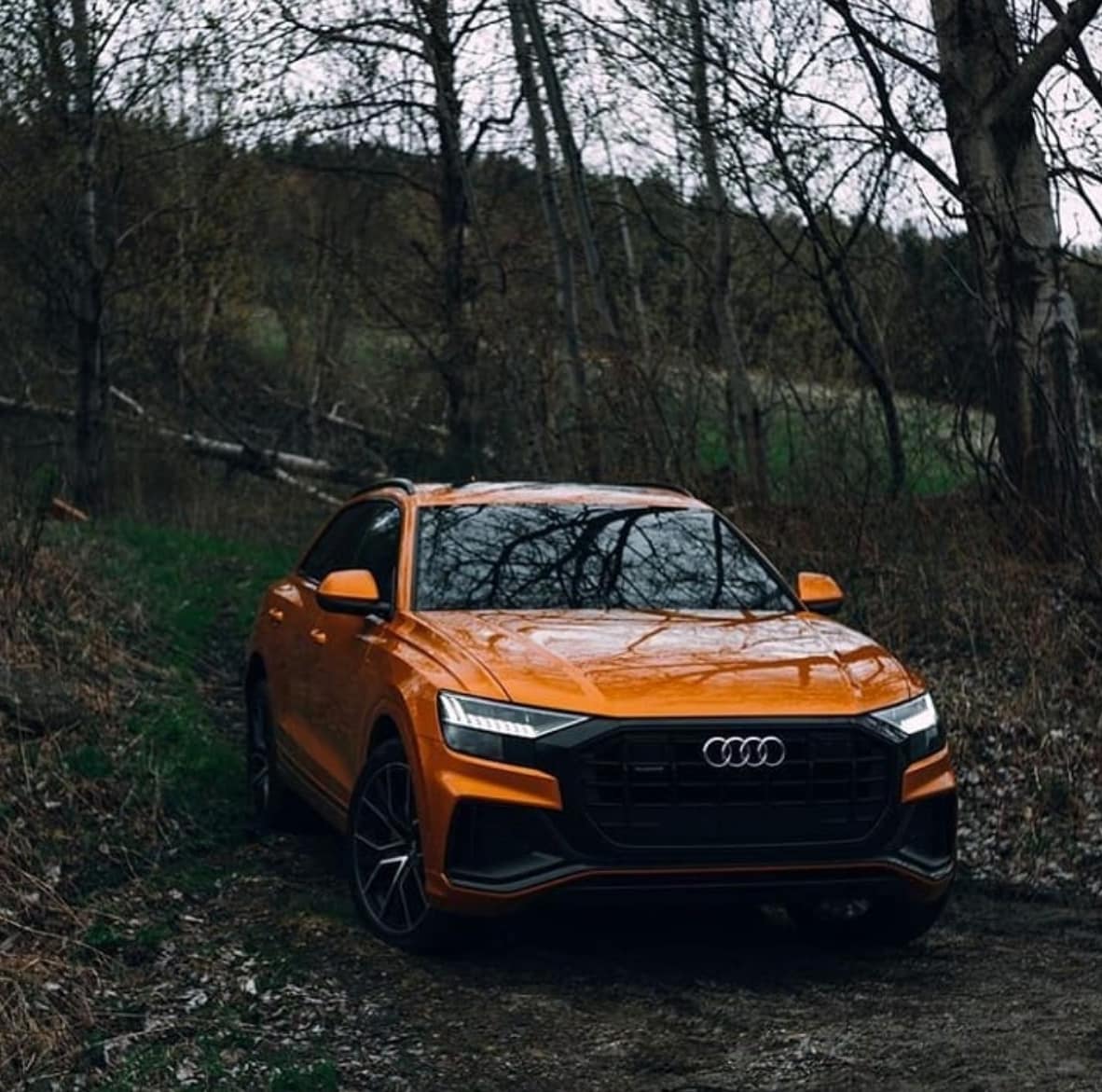 audi.q8.official.png