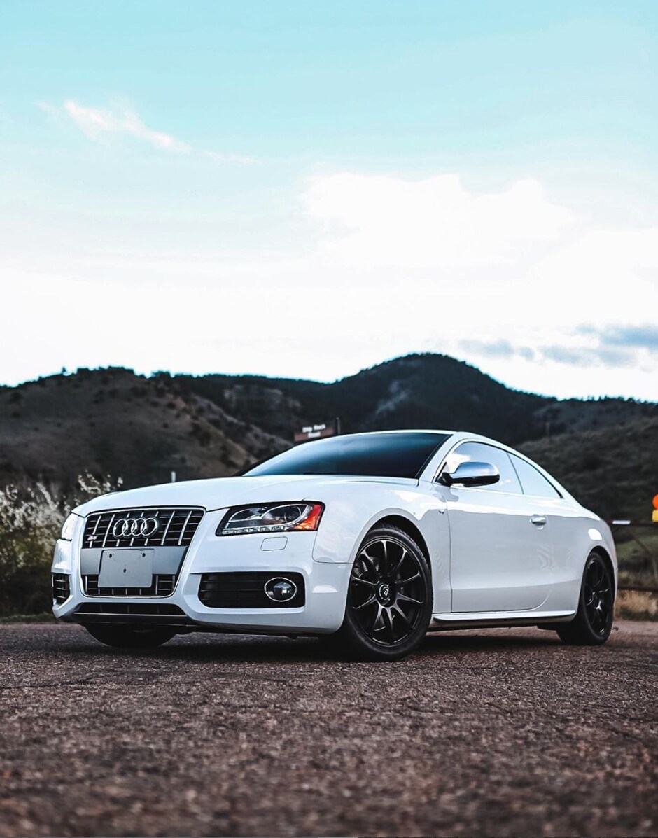 cypress_s5 (2).png