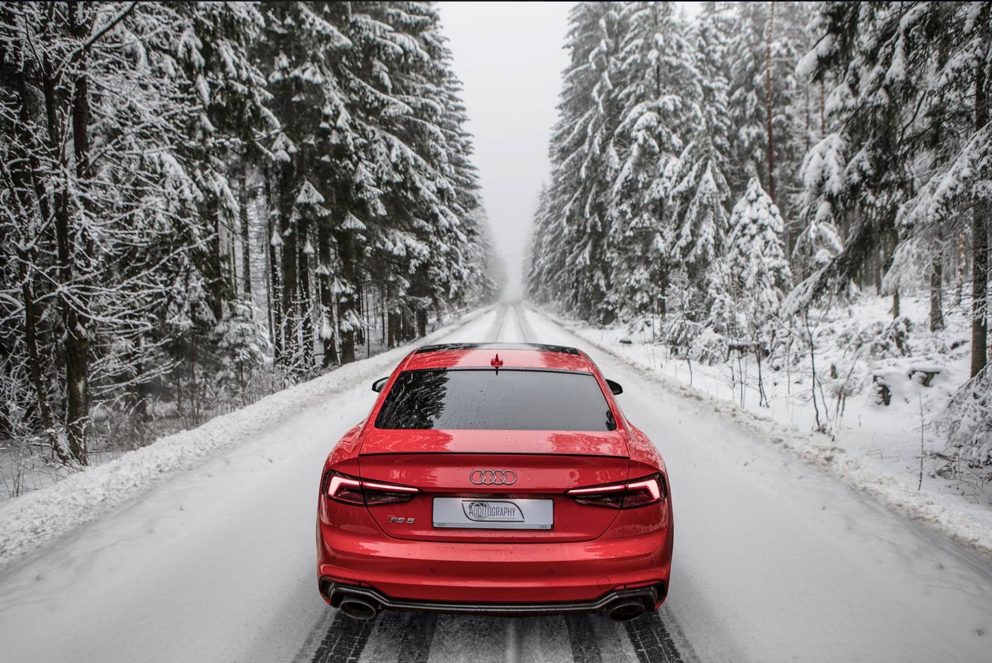 Auditography FB 7.png