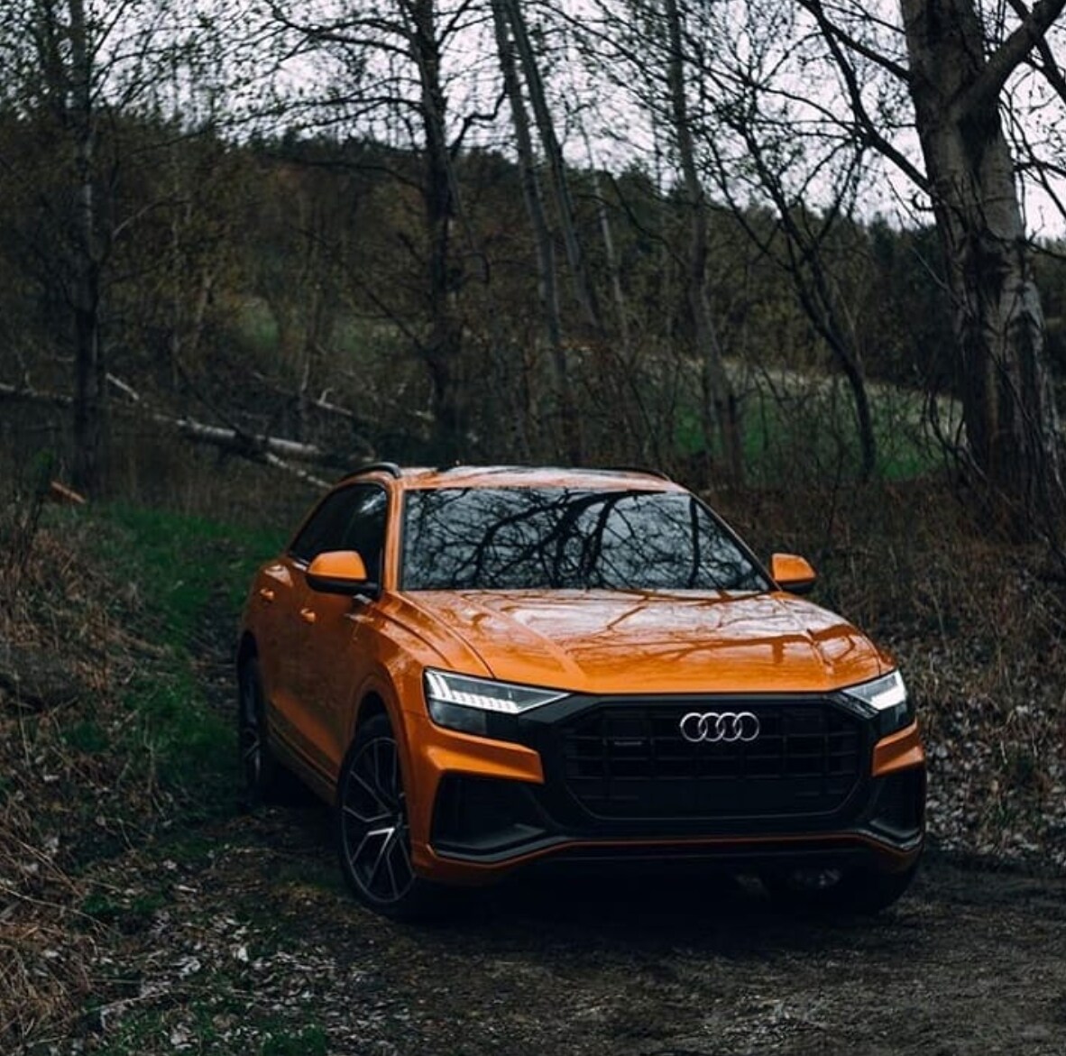 audi.q8.official.png