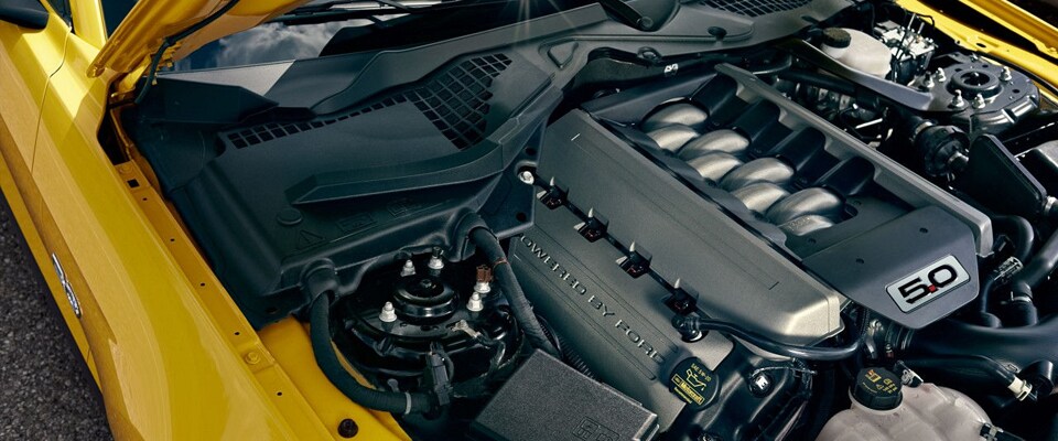 2017 Ford Mustang - Gallery