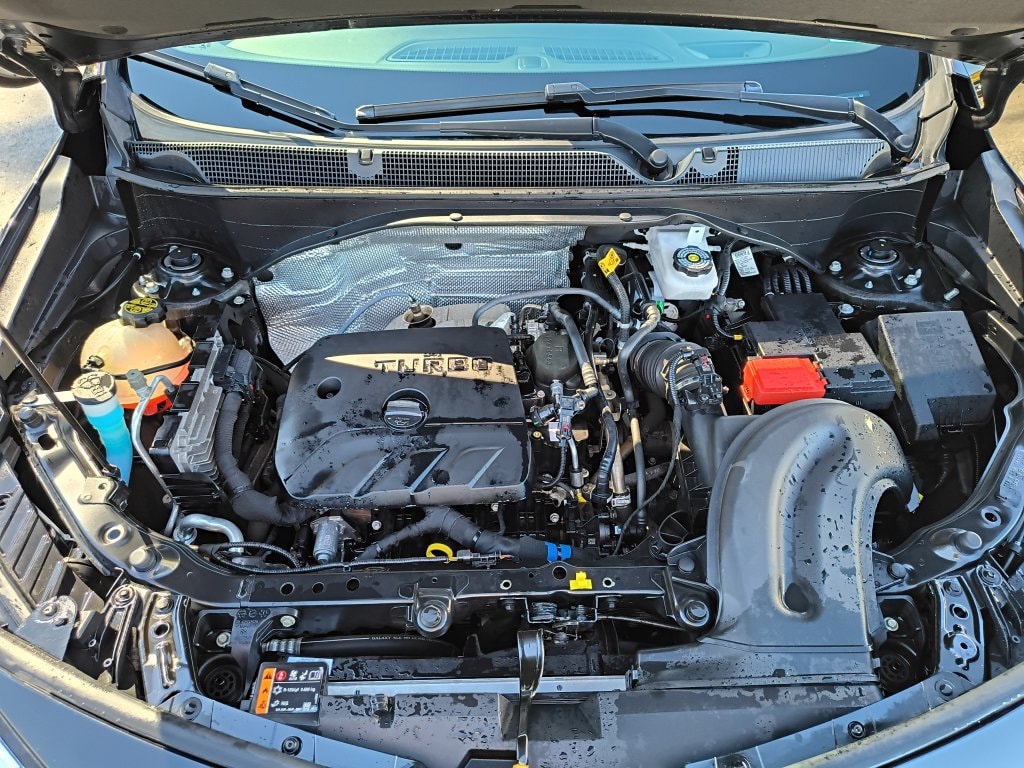 Photo 19