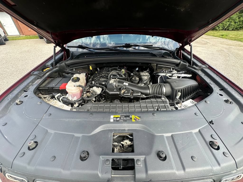 Photo 19