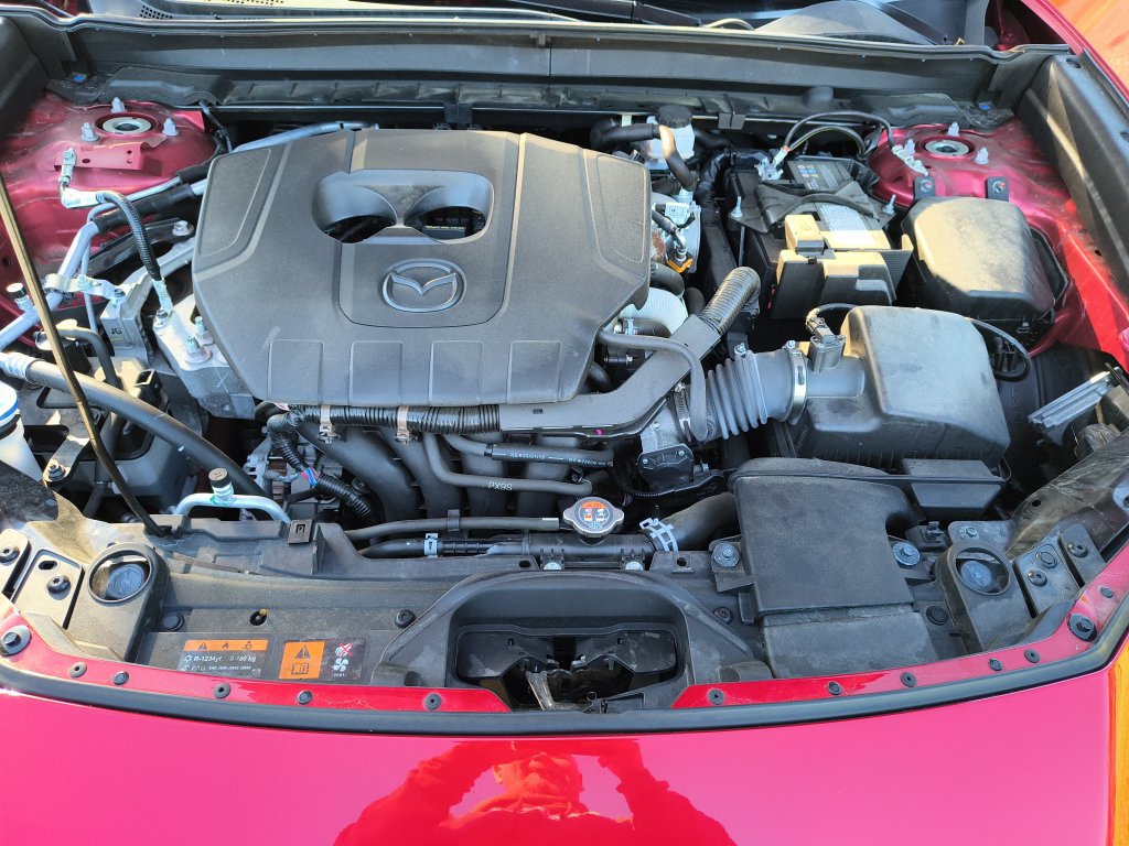Photo 19