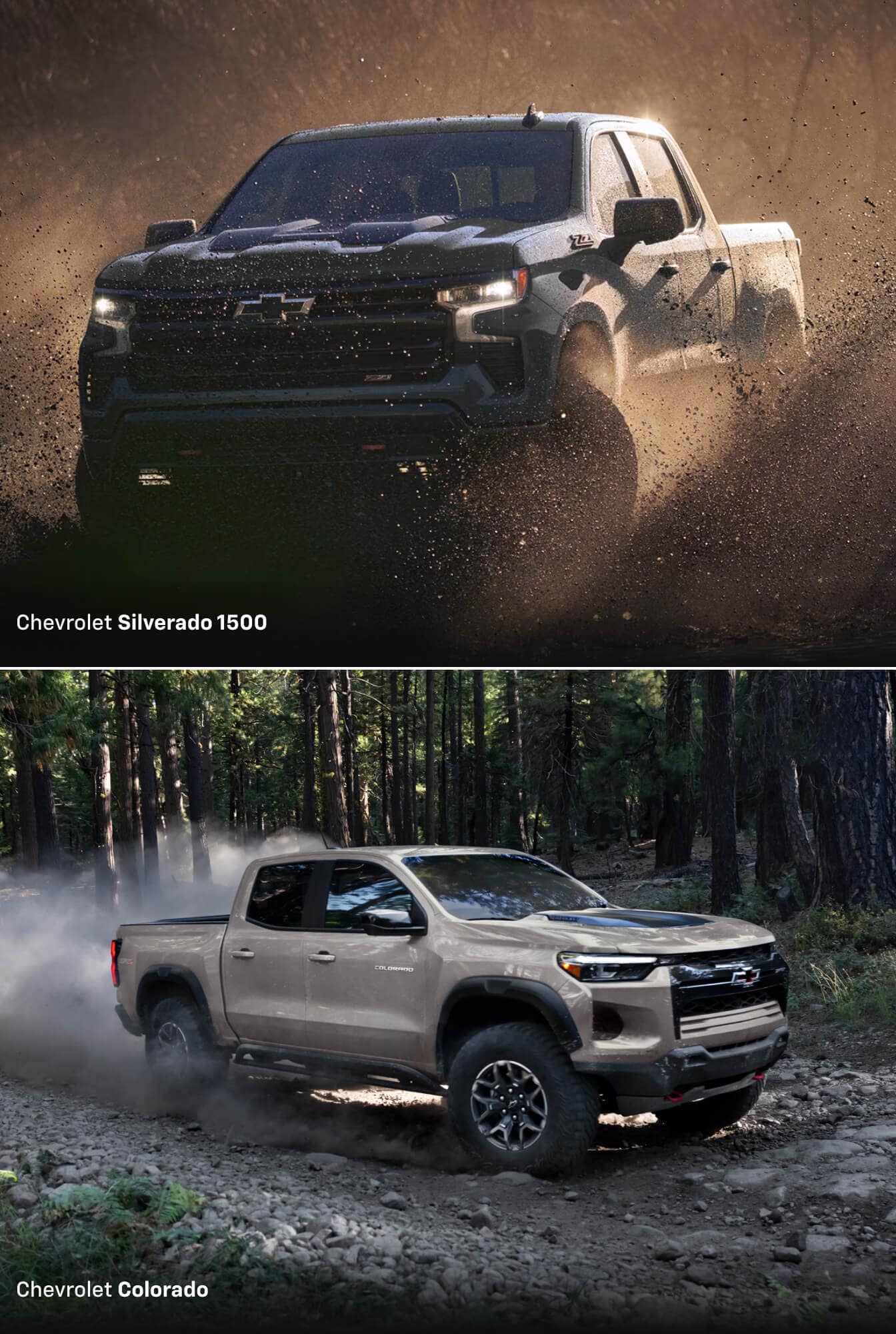 Chevrolet Silverado 1500 Crew Cab Trail Boss 2LT in Cypress Gray & a Chevrolet Colorado Crew Cab ZR2 in White Sands.