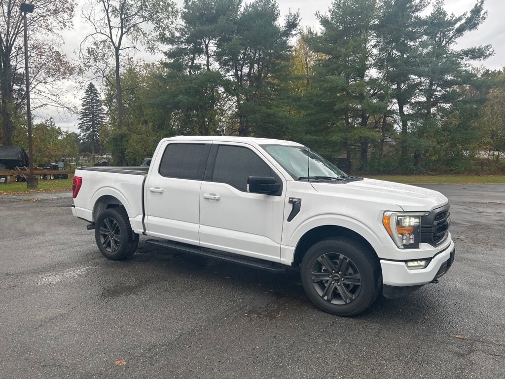 2023 Ford F-150 XLT's photo