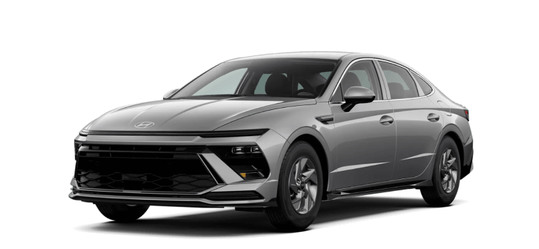 Hyundai Sonata Trim