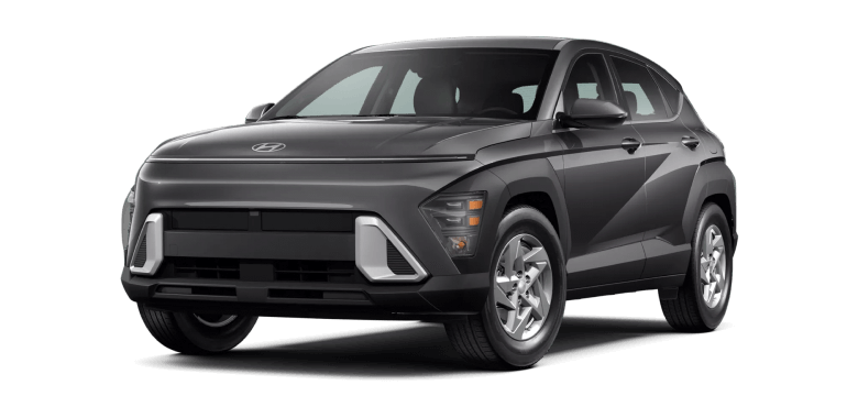 Hyundai Kona Trim