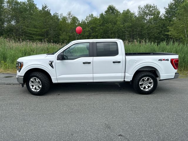 2023 Ford F-150 XLT photo 2