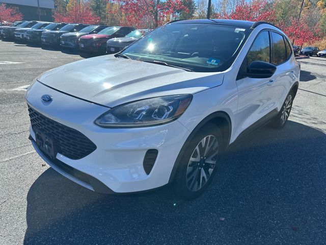 2020 Ford Escape SUV  2020 Ford Escape SUV