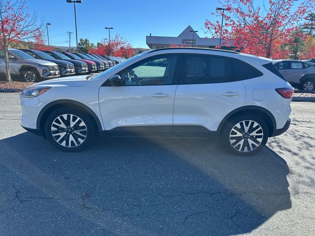 2020 Ford Escape SE Sport Hybrid photo 2