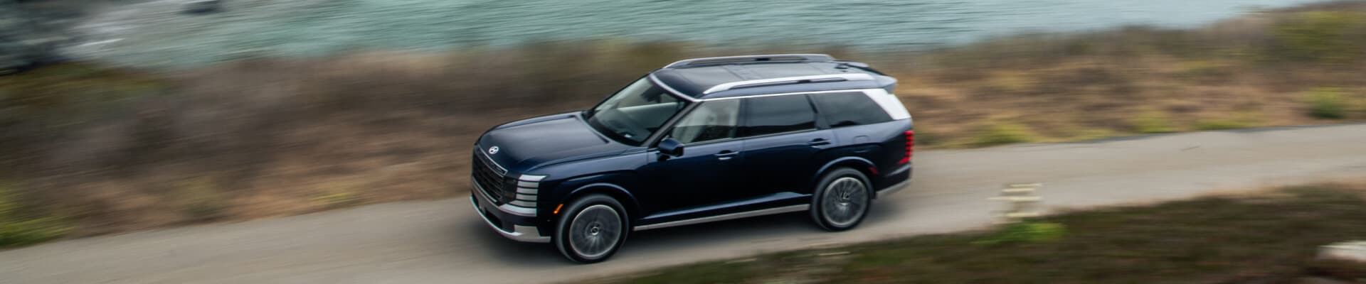 High-angle side view of a dark blue Hyundai Palisade driving on a coastal road.