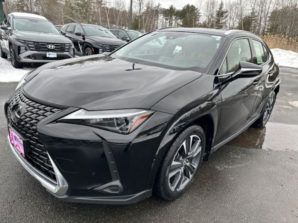 Used 2024 Lexus UX 250h Premium SUV