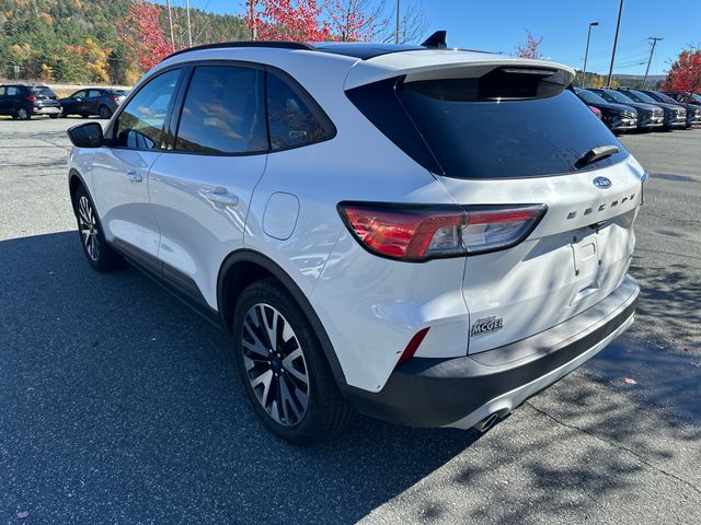 2020 Ford Escape SE Sport Hybrid photo 3