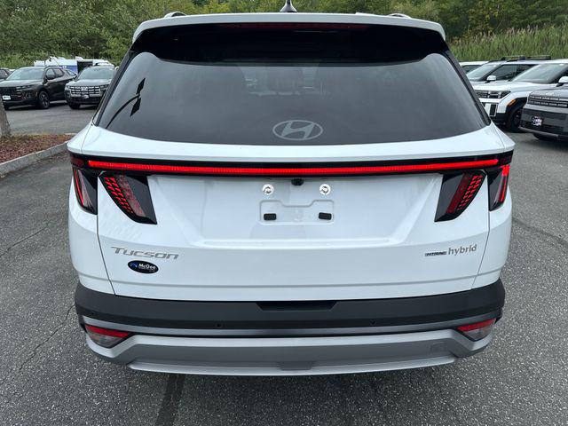2025 Hyundai Tucson Hybrid Limited photo 4
