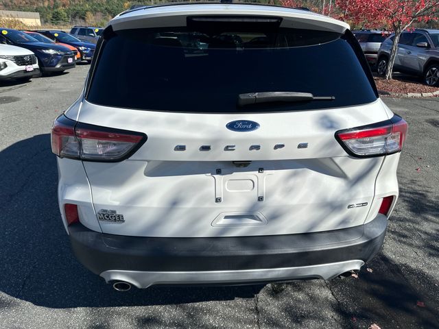 2020 Ford Escape SE Sport Hybrid photo 4