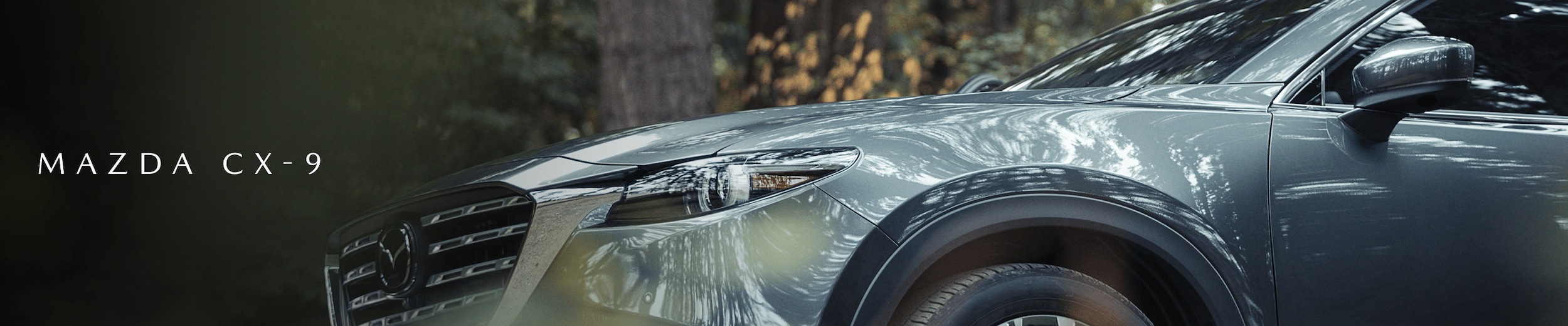 Mazda CX-9 Towing Capacity