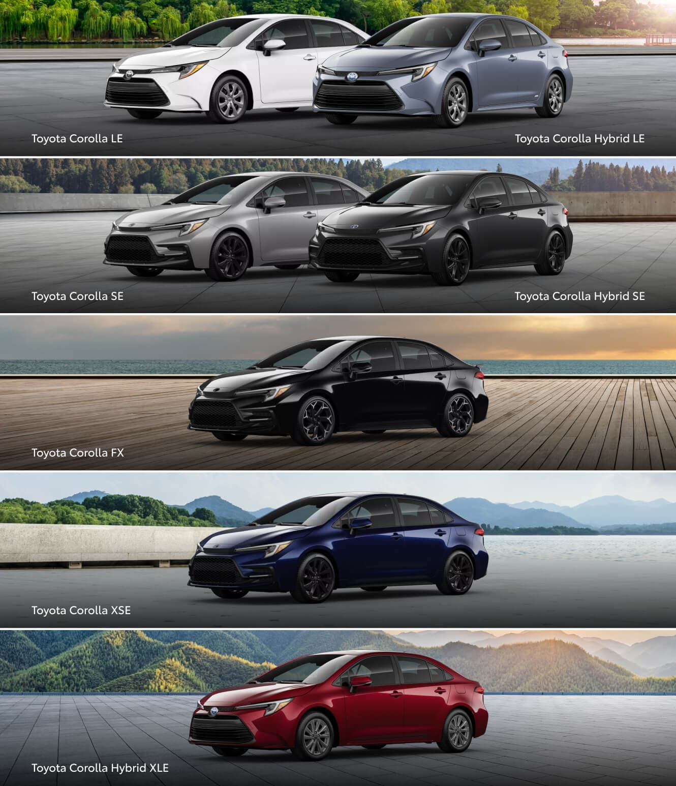 Toyota Corolla Trim Levels